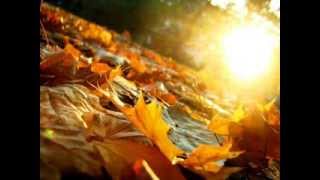 Chris Rea - September Blue (lyrics)