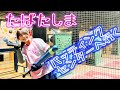 たばたしま　バッティングセンターへ行く