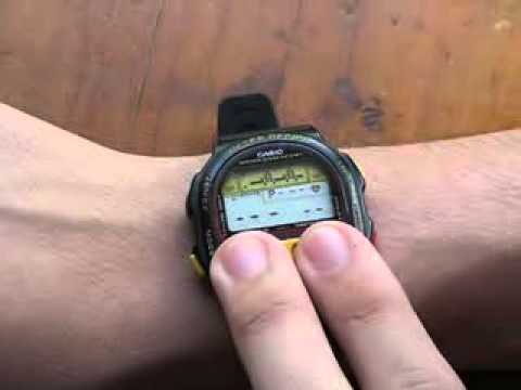 Casio BP-100 -