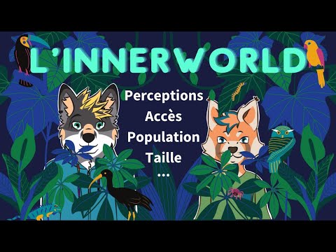 Vidéo: Comment Améliorer La Perception De L'information
