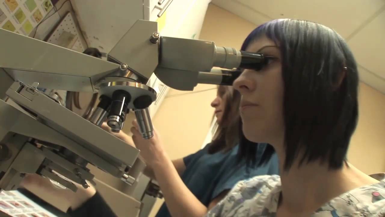 Veterinarian Kitsilano Vancouver Arbutus West Animal Clinic BC YouTube