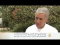 تداعيات ترشح السبسي لانتخابات الرئاسة