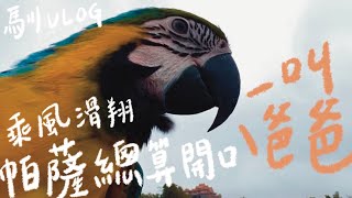 【馴Vlog】乘風滑翔，帕薩總算開口「叫爸爸」了！ by 鸚鵡小木屋 Jack 5,288 views 4 months ago 3 minutes, 14 seconds