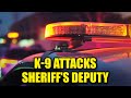 Police K-9 Attacks Deputy Weeks After Hospitalizing Jailer, Jury Delivers Verdict