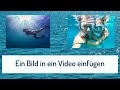 Bild in Video einfügen - mit ein paar Klicks