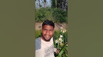 Aaj Diwali hai aur kam Dekho 🥺 #shorts #minivlog