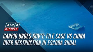 Carpio urges gov't: File case vs China over marine destruction in Escoda Shoal