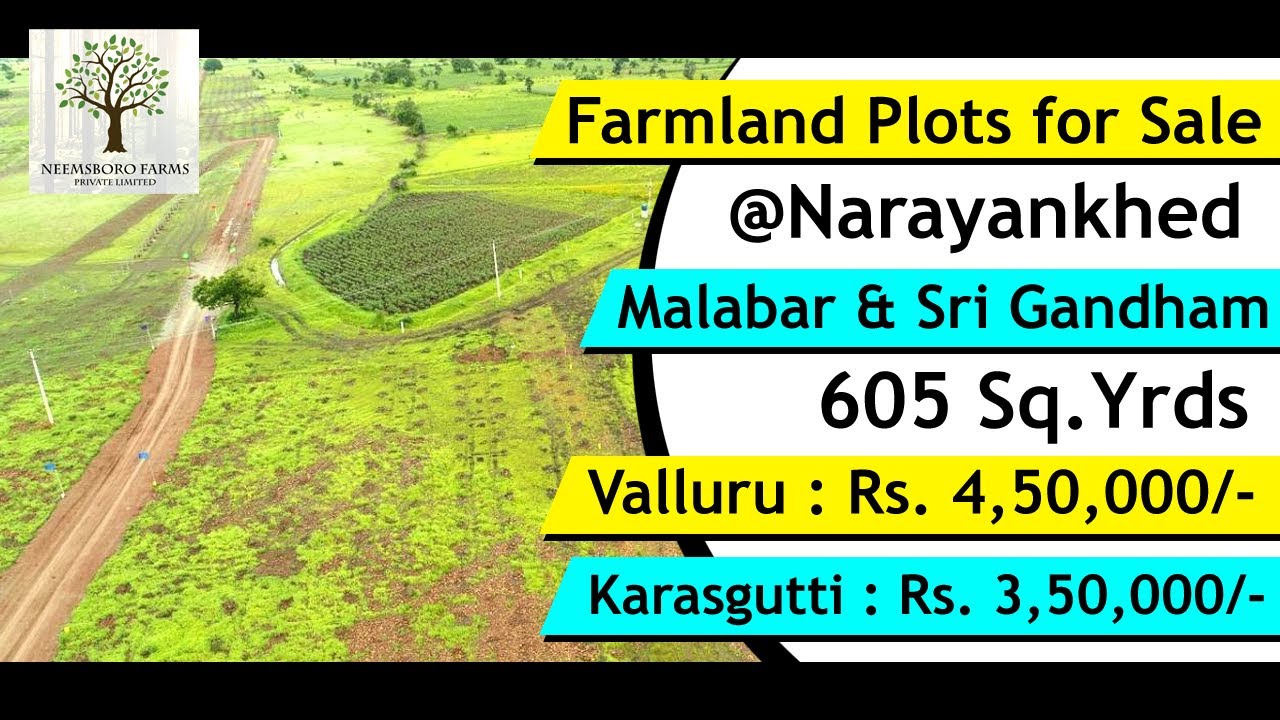 Farmland Plots for Sale in Narayankhed Neemsboro Farms Sri Gandham
