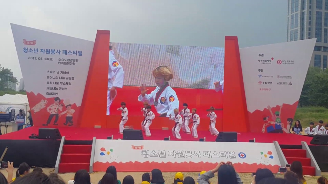 리틀  k-tigers 리틀케이타이거즈 청소련 자원봉사 페스티벌 시범 여의도 한강공원