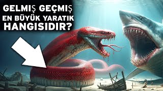 Dünya Üzerinde Var Olmuş En Büyük Hayvanlar. Boyut Karşılaştırması -En Şaşırtıcı Tarih Öncesi Sırlar