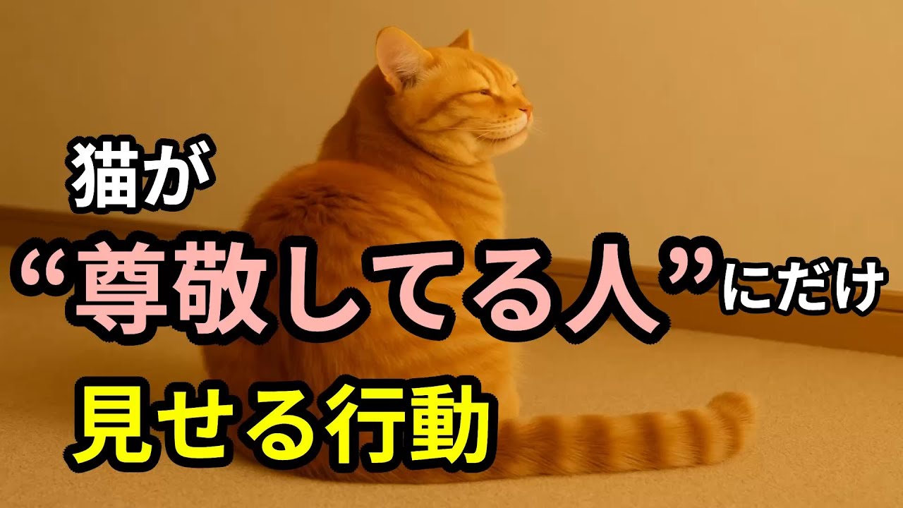 それ、猫に“尊敬されてます”！ 猫が本当に敬意を示す行動7選
