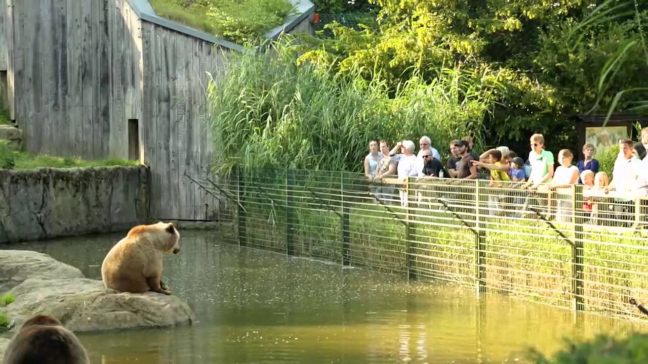 Zoo Bielefeld Zoo Bielefeld
