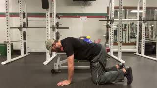 Mechanical Bear Crawl + ball/cone