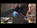 'Tribal Meat Market' | You will not believe!