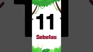 BELAJAR ANGKA 1-20 #belajar #sd #tk #playgrup #anakanak