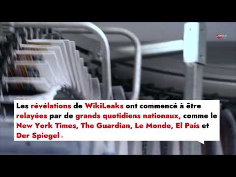 Vidéo: Qu'est-ce Que Wikileaks