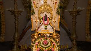 #thoranamalai #தோரணமலை #agasthiyar #theriyar #powrnami #krivalam #tenkasi #pothigai hill #spritual