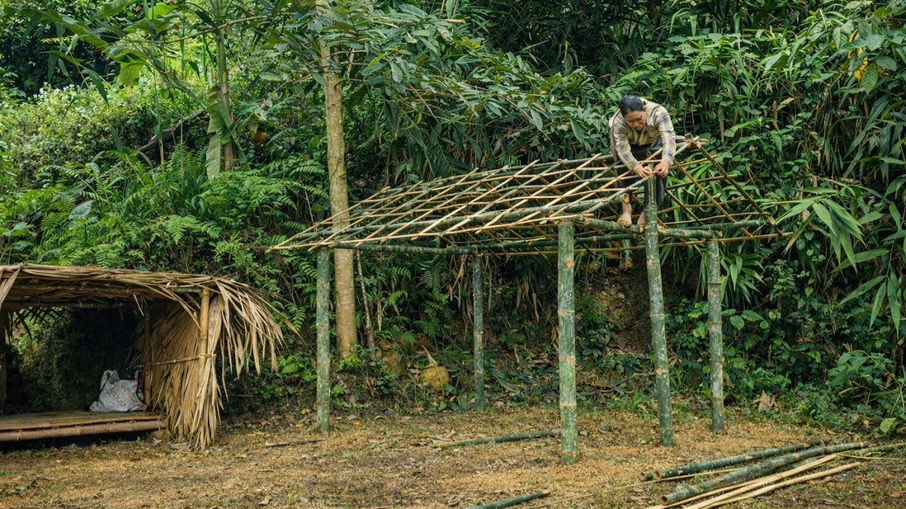 That poor girl, alone, built a beautiful bamboo house in the wild forest; her life would be better.