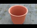 鉢上げのタイミング＆方法について