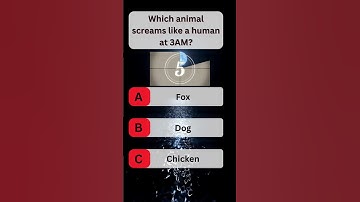 USA Quiz Challenge: Test Your Knowledge With This Question #usaquiz #funquiz #brainteaser #usafacts