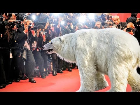MEDVĚD V CANNES?! || #natripu
