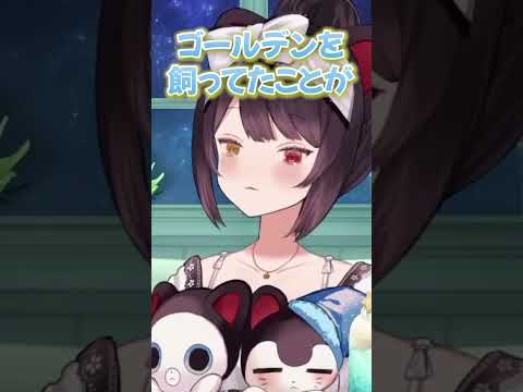 【にじさんじ】ゴールデンを飼っていたことがある戌亥。 #戌亥とこ #にじさんじ切り抜き #vtuber