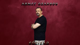 Ahmet Ozansoy - Gülizar Resimi