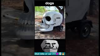 Skull Bike Or Car Troll Face