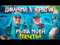 Рыбалка в Норвегии | Лофотенские острова | ДИКАРЯМИ В НОРВЕГИЮ #6