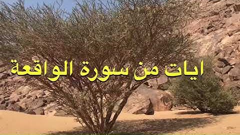 دحيم الحماد 1444ه ايات من سورة الواقعة