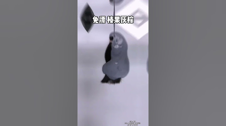 榛果灰棕火了不褪不漂的 #夏季显白发色 #自己在家染头发 #想染就染 #染发 #发色
