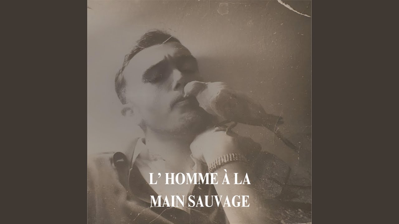 Terre de France (avec Mã, Tory & Trictoune)