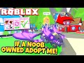 If a Noob Owned Adopt Me (Roblox)