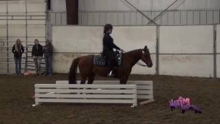 D4 3127 Trail Equitation