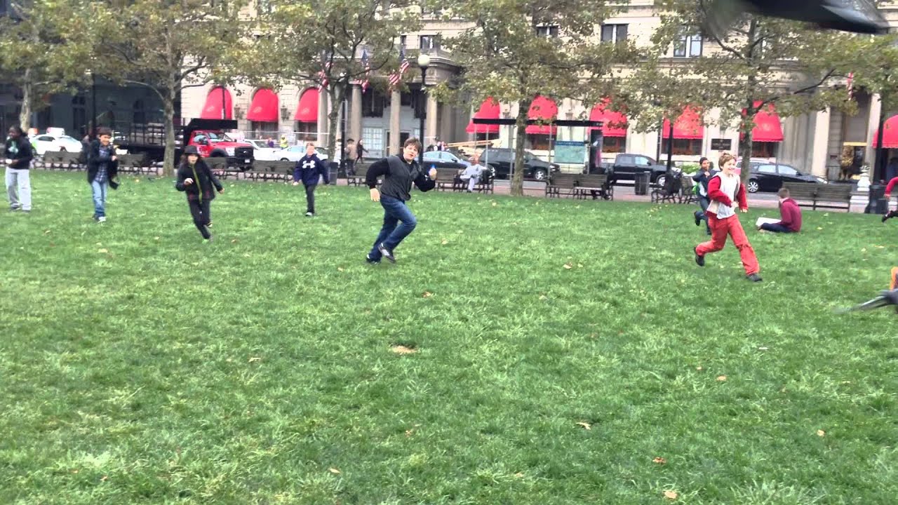 Downtown Field Trip: Chasing Pigeons