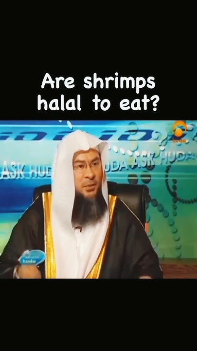Are Shrimps Halal To Eat Sheikh Assim Alhakeem YouTube are-shrimps-halal-to-eat-sheikh-assim-alhakeem-youtube