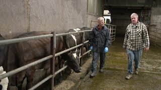 Rispoval IBR  Winter Vaccination Video