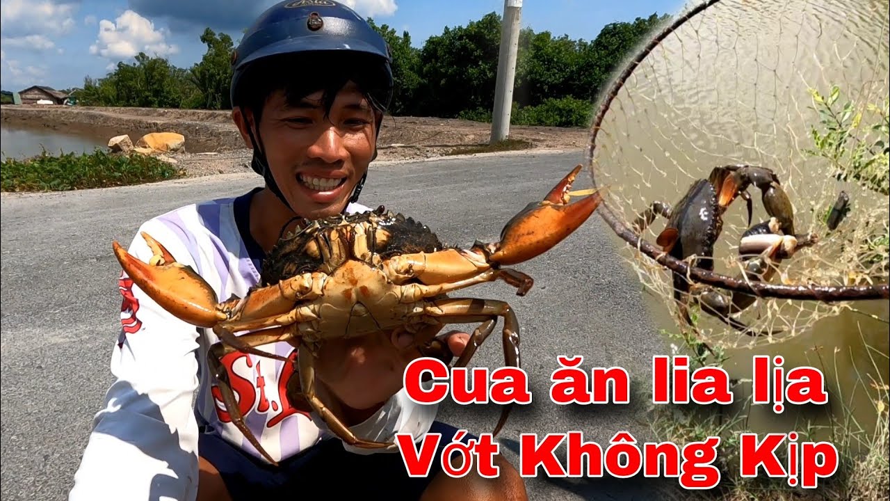 Cắm Câu Cua ăn không kịp vớt hai vợ chồng bội thu đầy cả bao | GĐCG #842