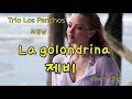 La golondrina-Trio Los Panchos 제비-조영남/cover 해운대