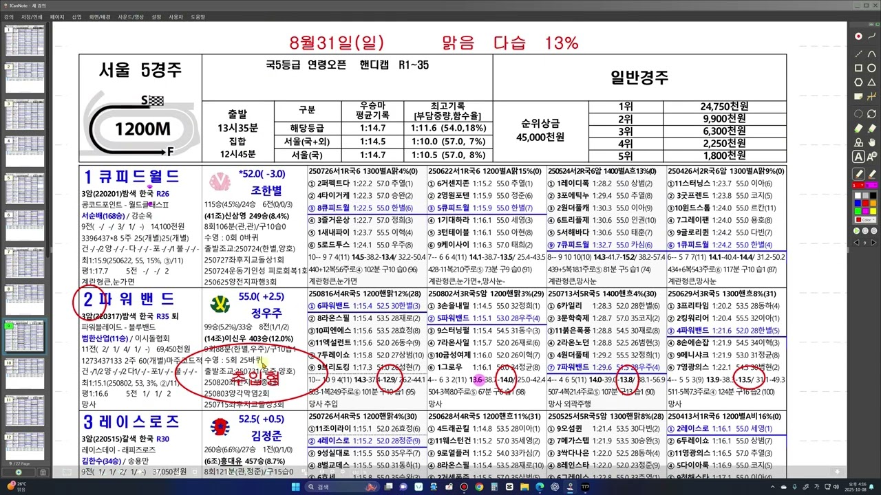 선행마 많을 때 우위비교 예시