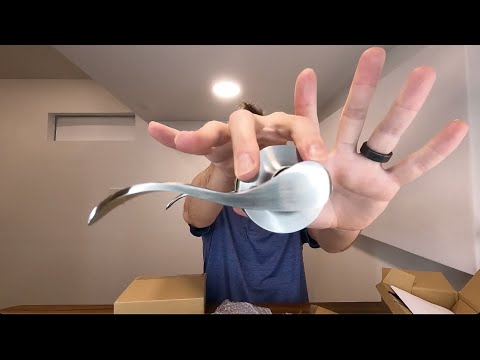 Best Passage Door Levers? Discover Gobekor Closet/Hall Door Handles — watch on YouTube
