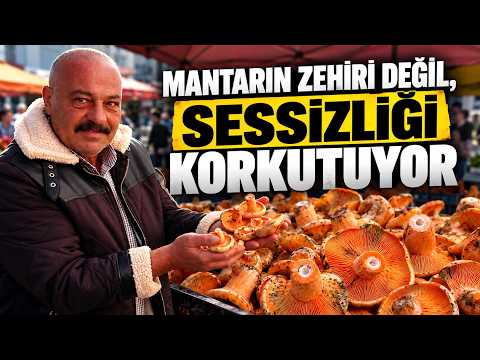 Mantar zehrini evde anlamanın yolu yok: “Çıplak gözle ayırt edemezsiniz”
