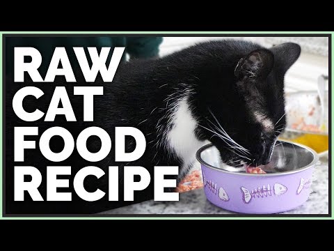 Video: Homemade Cat Food: Dapat Mong Gumawa Ng Iyong Sariling Cat Food?