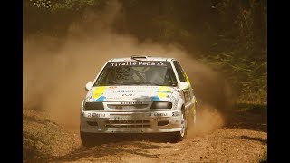 Resumen/ Cristian Fernandez - David Bouzon /Citroen Saxo Vts / 7 Rallyemix De Piñor