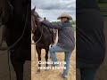 How To Mount Correctly ЁЯШВ How To Mount Correctly ЁЯШВ