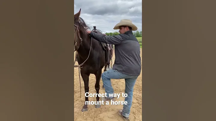 How to Mount Correctly  😂 - DayDayNews