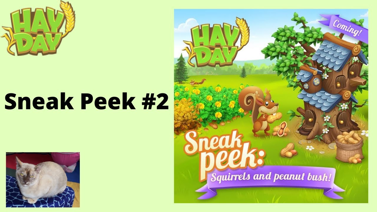WE’RE GETTING SQUIRRELS Hay Day Update YouTube