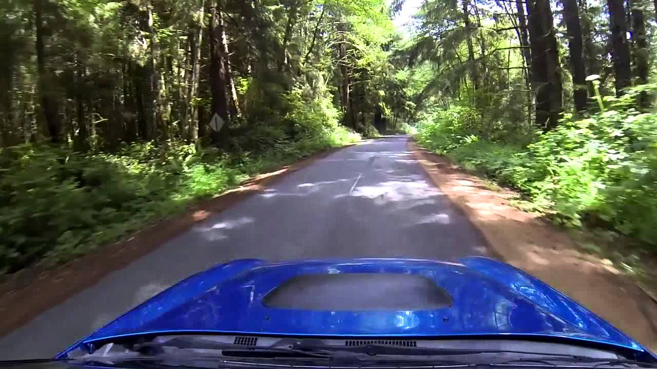 Driving Through Redwood Forest California With Subaru WRX YouTube