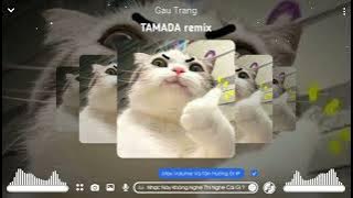 TAMADA Remix Japandee by tiktok TWEN hót tik tok