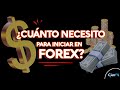 FOREX: ¿Cuánto Dinero se Puede Ganar? - YouTube